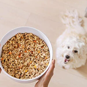 The Ultimate Build Sample Pack 10lb